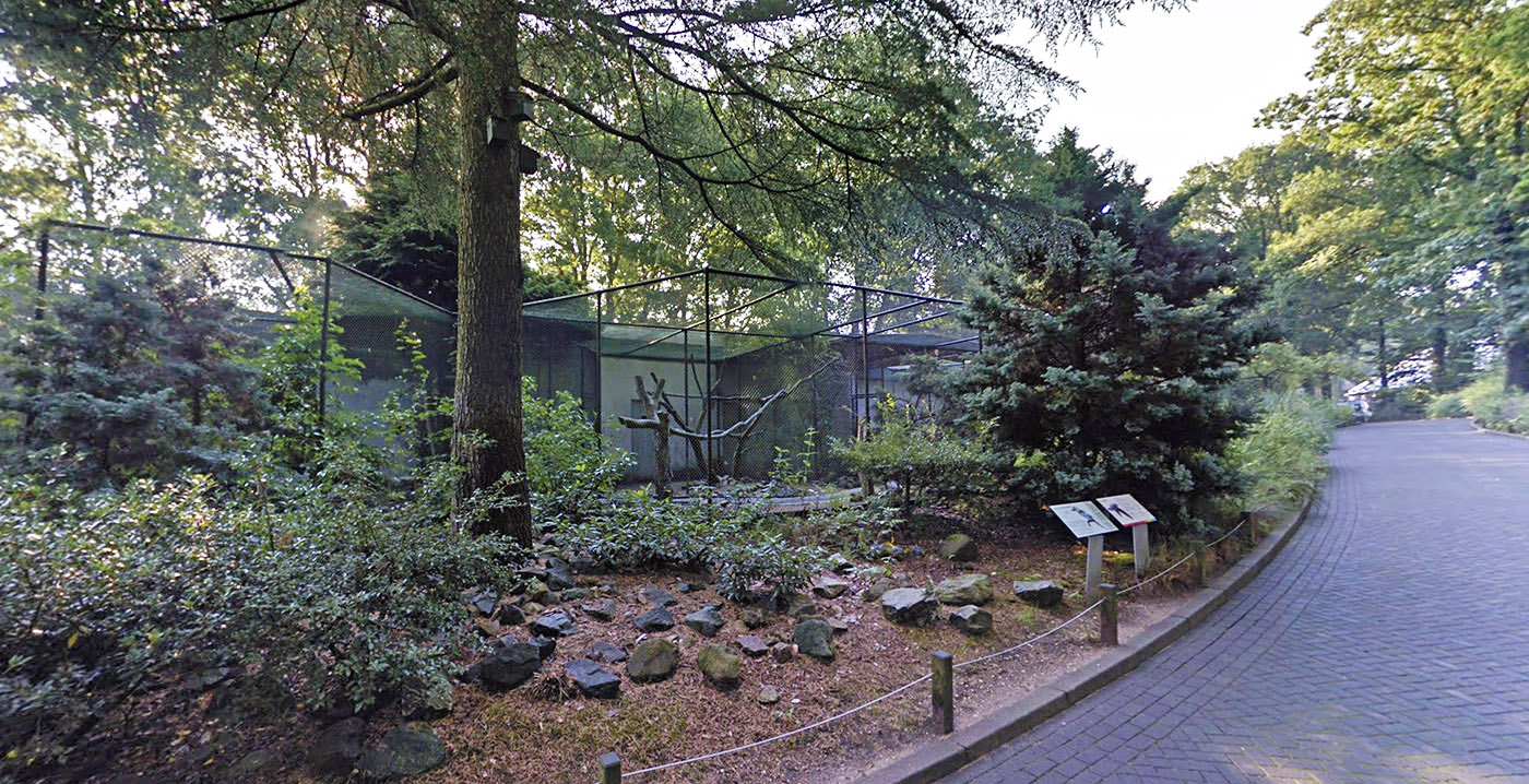 Burgers' Zoo wil oud gedeelte slopen om plaats te maken voor nieuw verblijf